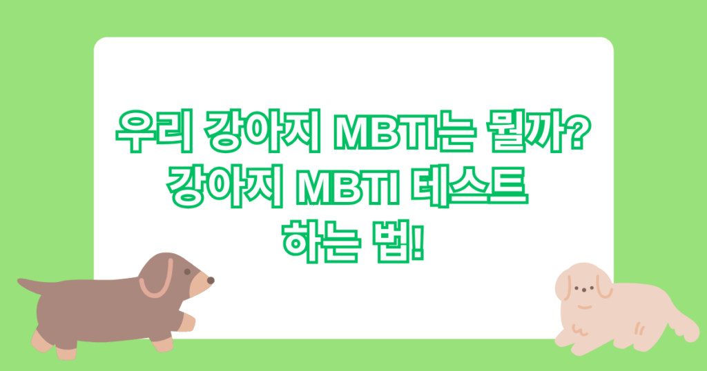우리 강아지 MBTI는 뭘까? 강아지 MBTI 테스트 하는 법!